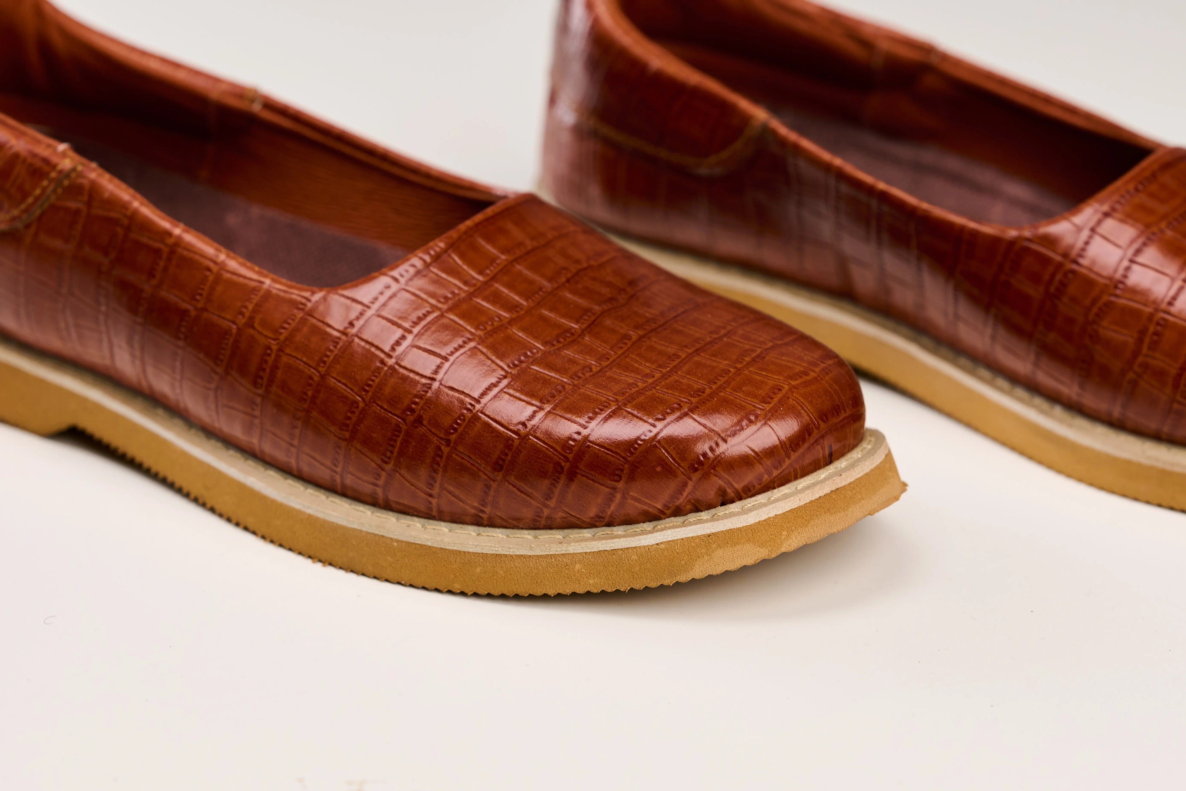 مركوب أليقيتور بني